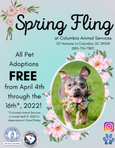 Columbia Animal Services Offers Free Adoptions During Spring Fling - City  of Columbia, Columbia SC