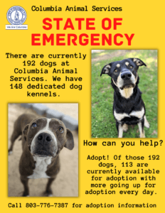 Dog Adoptions Needed - City of Columbia, Columbia SC