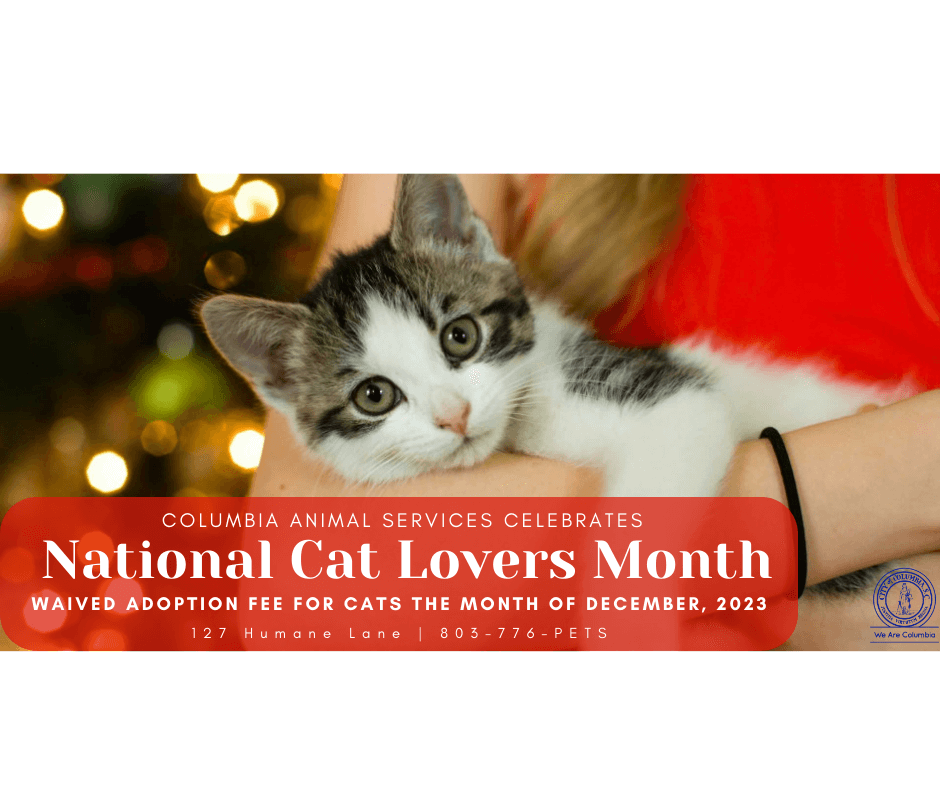 National Cat Lovers Month - City of Columbia, Columbia SC